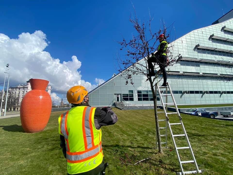 image image - 2025-11-21T151205.446.jpg